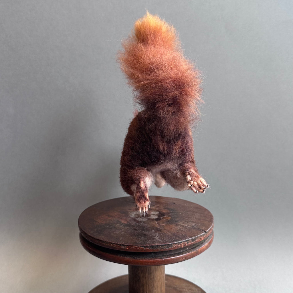Needle Felted Squirrel ’Sebastian’