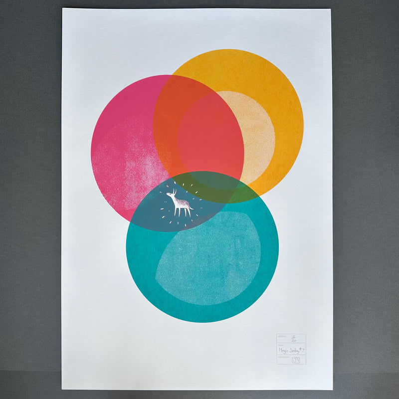 A2 - Magic Donkey No.7 - Screen Print - Unframed