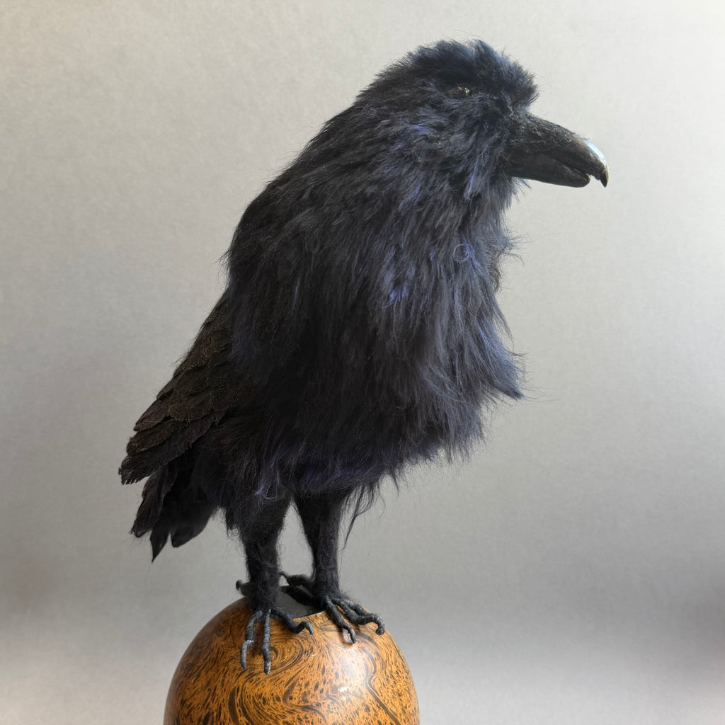 Needle Felted Raven on Burwood ‘Frith’