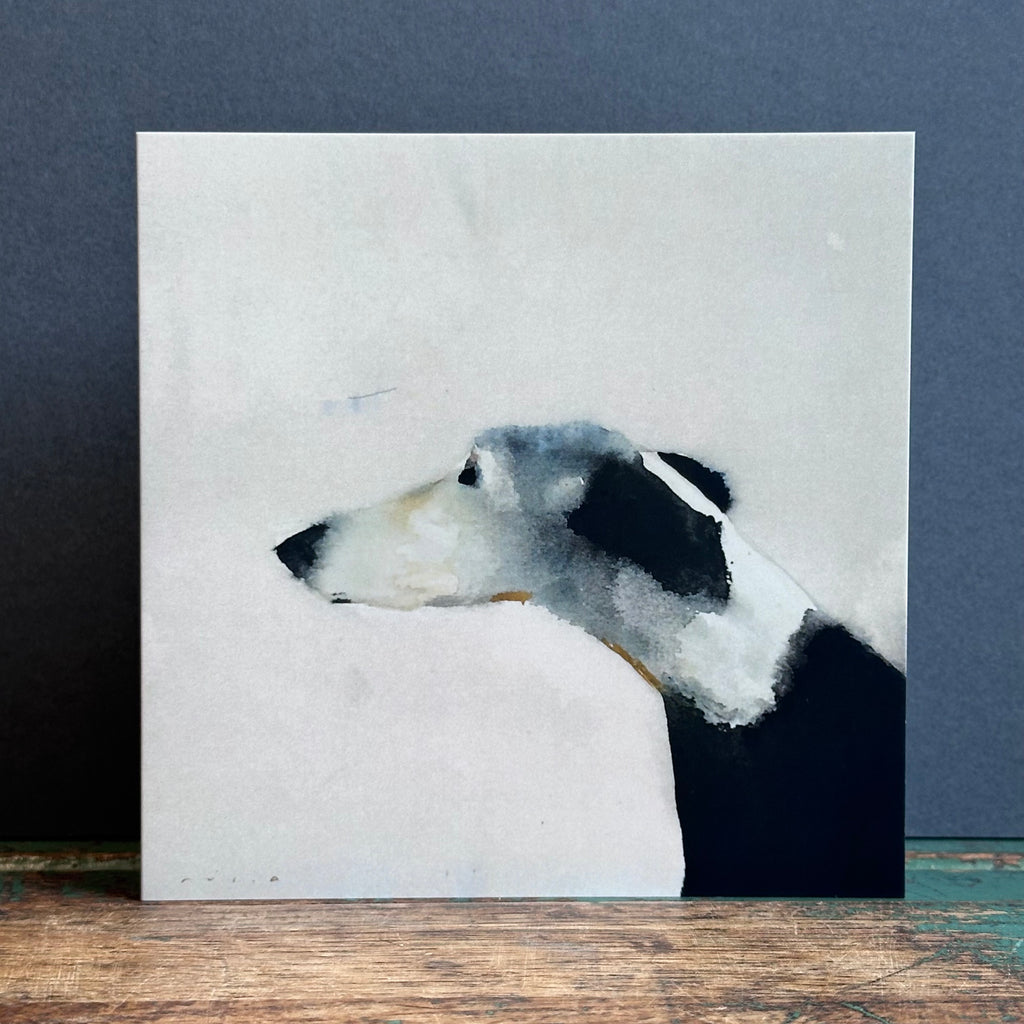 G/Card - Nuria Riera Sagales - Spanish Greyhound