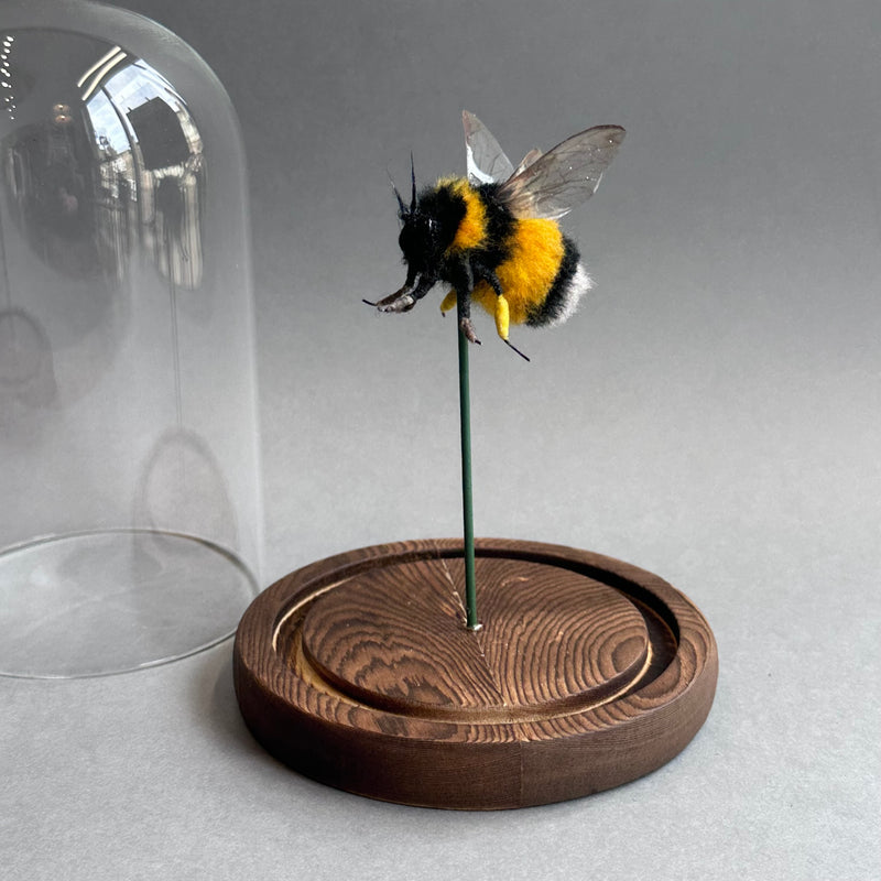 Needle Felted ‘Large Bumble Bee Under a Dome’
