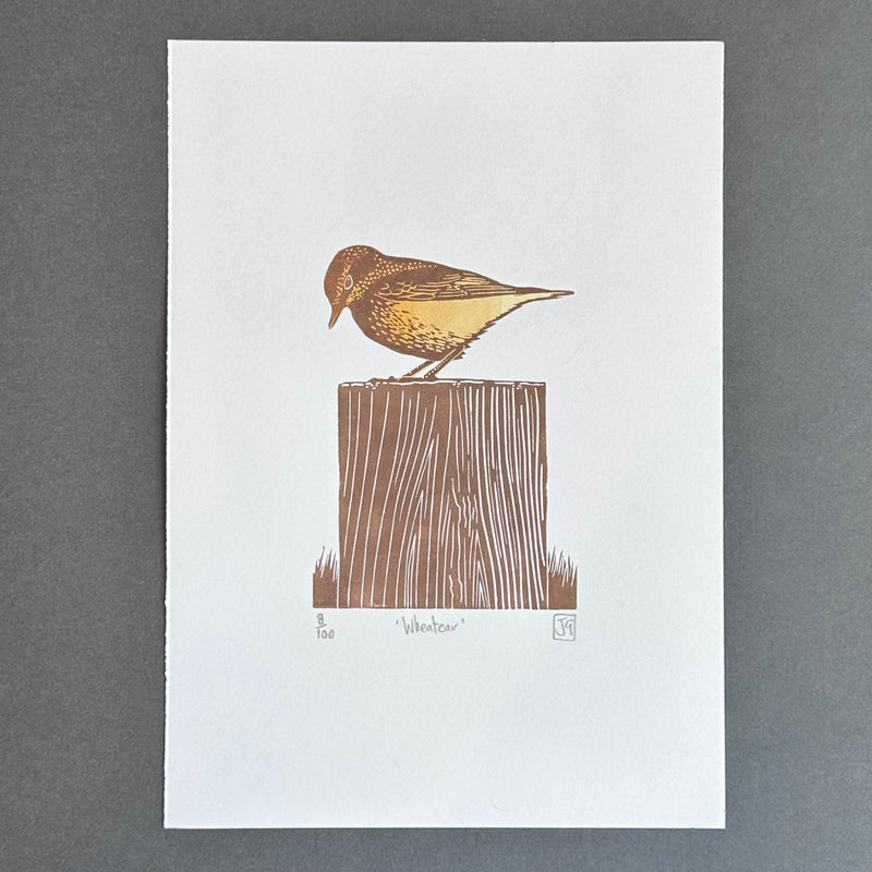 A4 - Wheatear - Linocut - Unframed