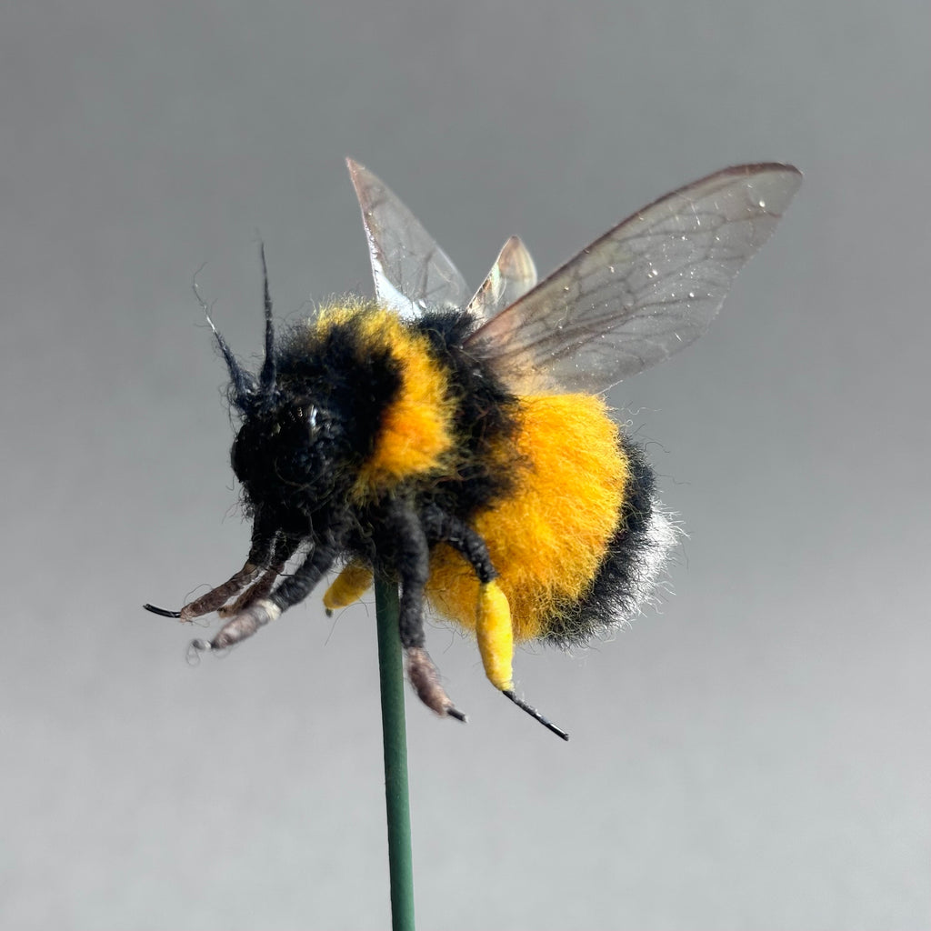 Needle Felted ‘Large Bumble Bee Under a Dome’