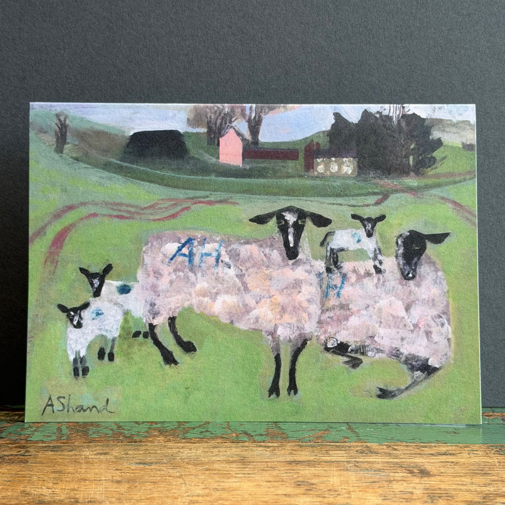 G/Card - Arabella Shand - Sheep Country