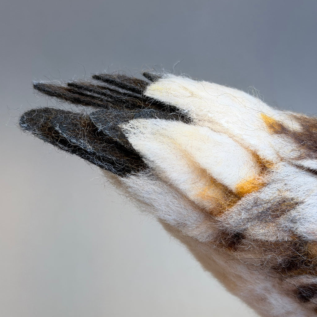 Needle Felted Little Stint on Bogwood