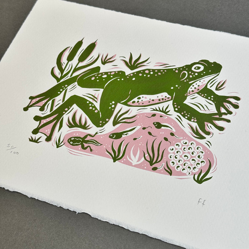 Ltd Edition Screenprint - Frog