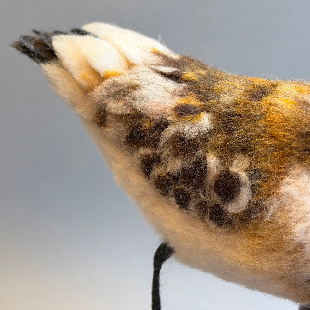 Needle Felted Little Stint on Bogwood