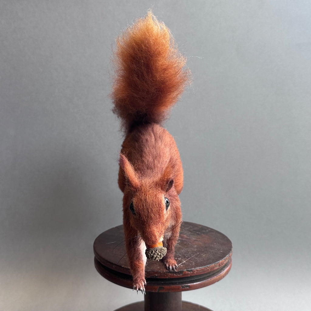 Needle Felted Squirrel ’Sebastian’