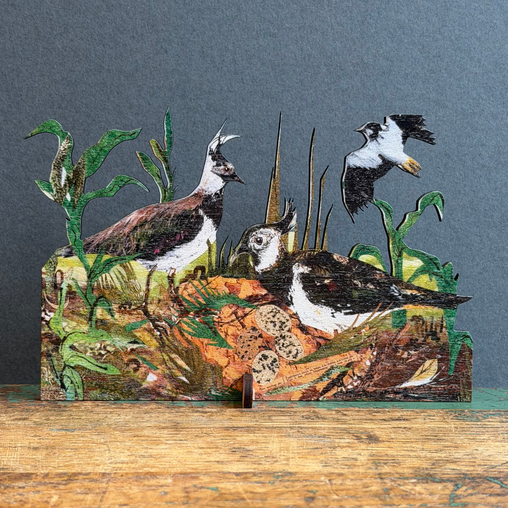 Wooden Keepsake with Greeting Card - Lapwing Nest