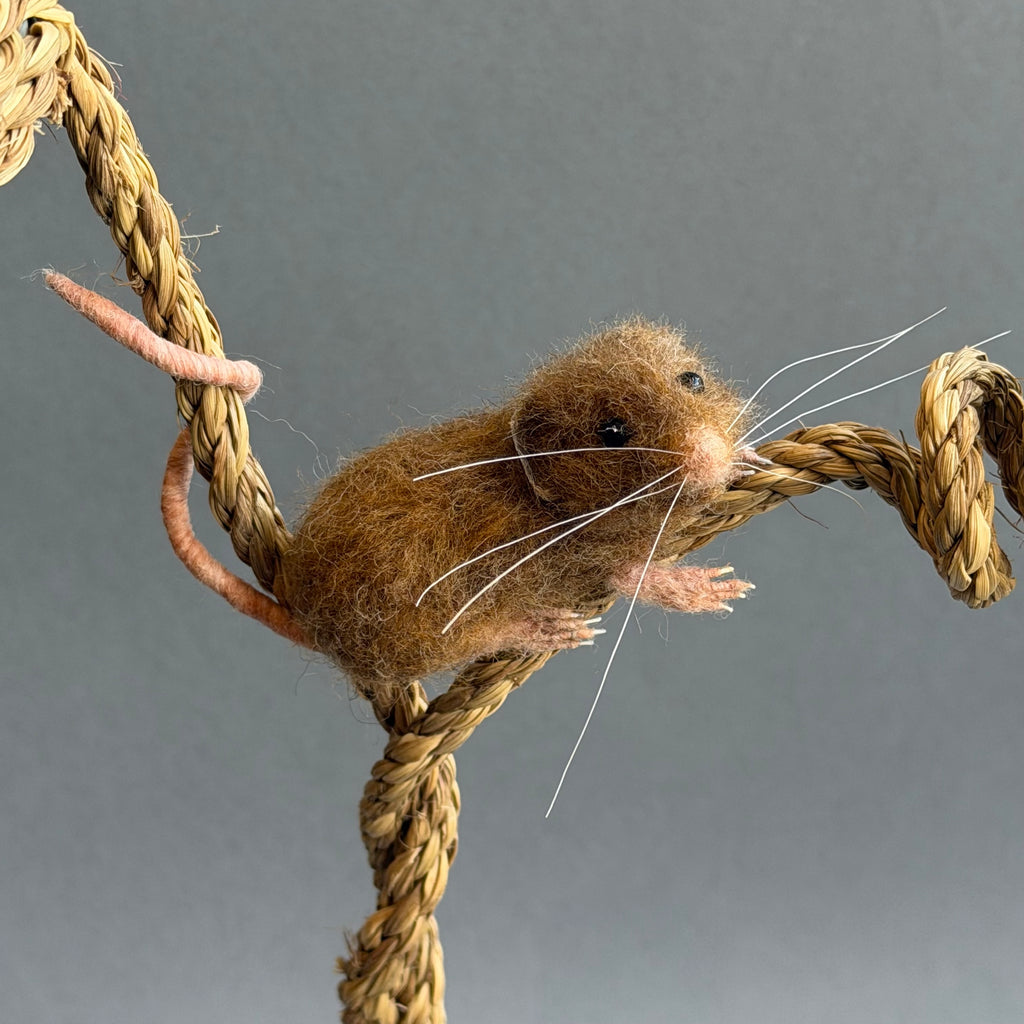 Needle Felted Mouse ‘Toppy’ on a Curled Rope & Terracotta Pot