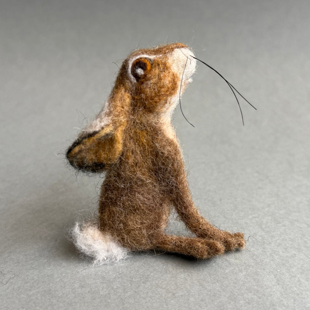 Needle Felted ‘Hare Brooch’