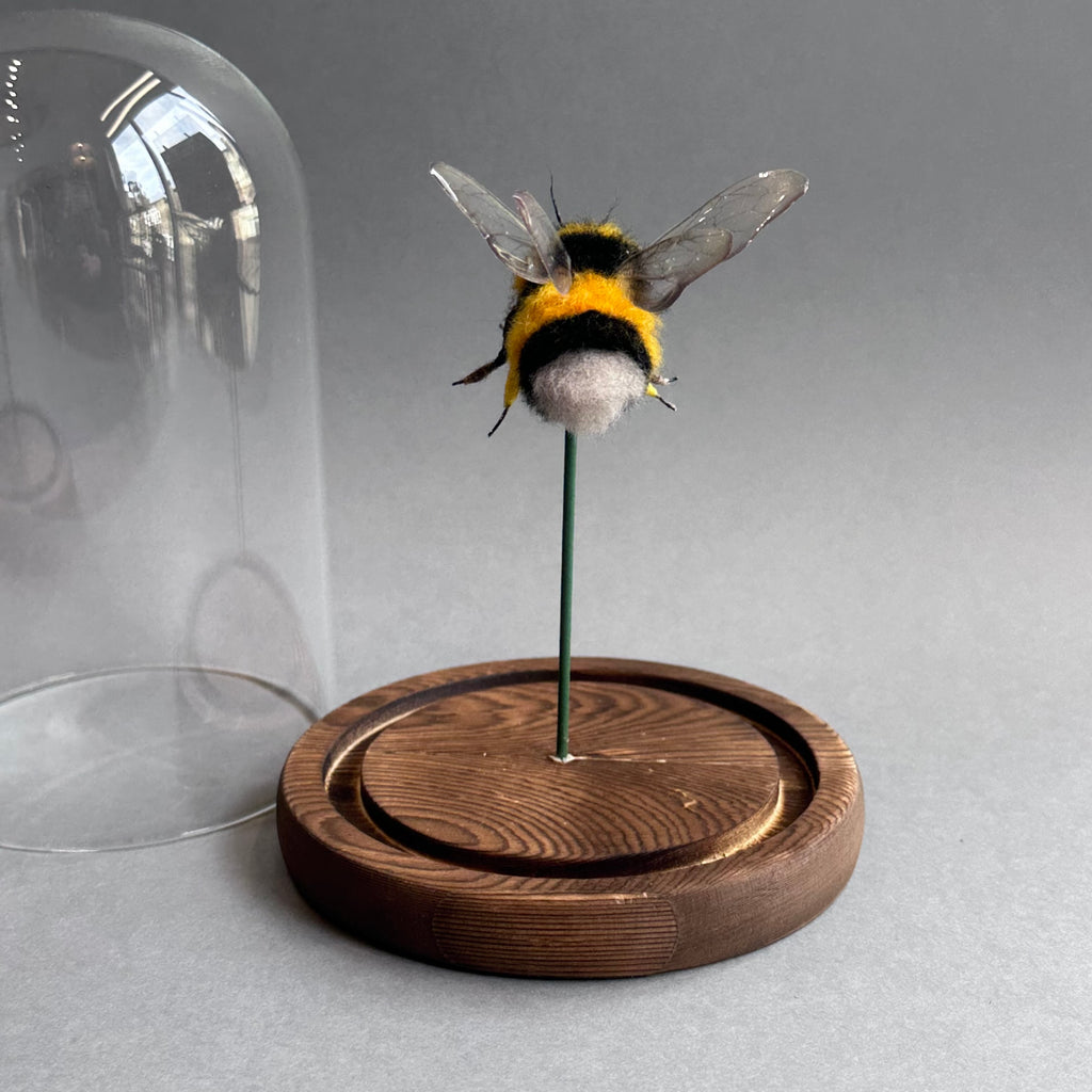 Needle Felted ‘Large Bumble Bee Under a Dome’