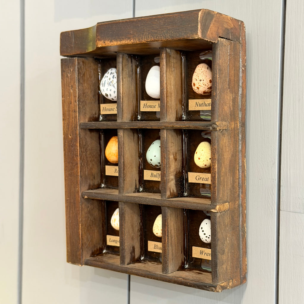 Mixed Media Garden Bird Eggs #581