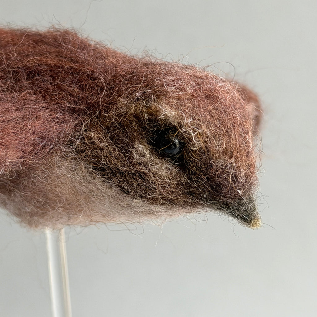 Needle Felted Swift in Flight