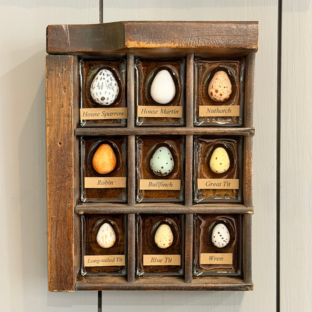 Mixed Media Garden Bird Eggs #581