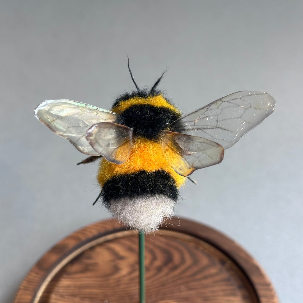 Needle Felted ‘Large Bumble Bee Under a Dome’