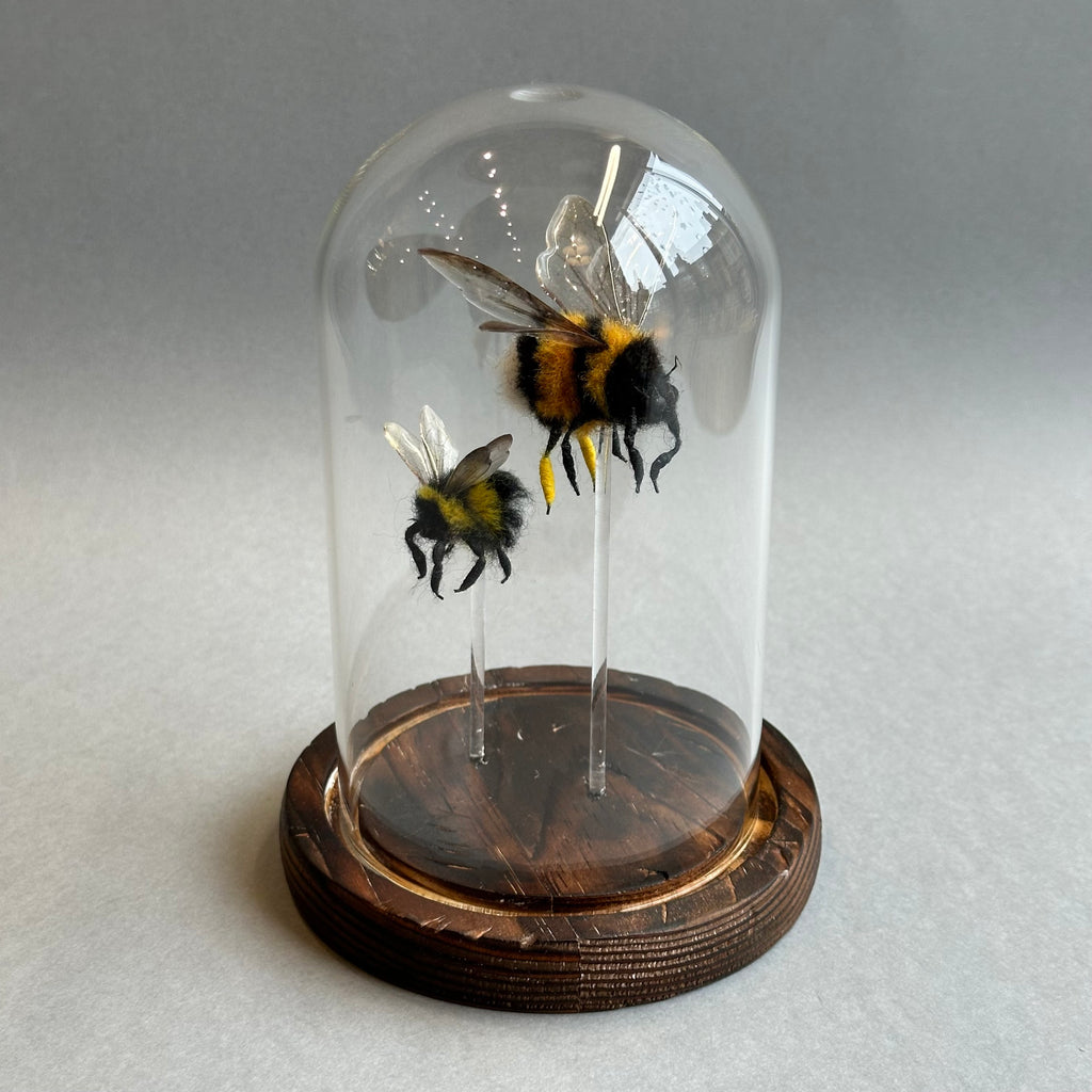 Needle Felted ‘Two Bumble Bees Under a Dome’