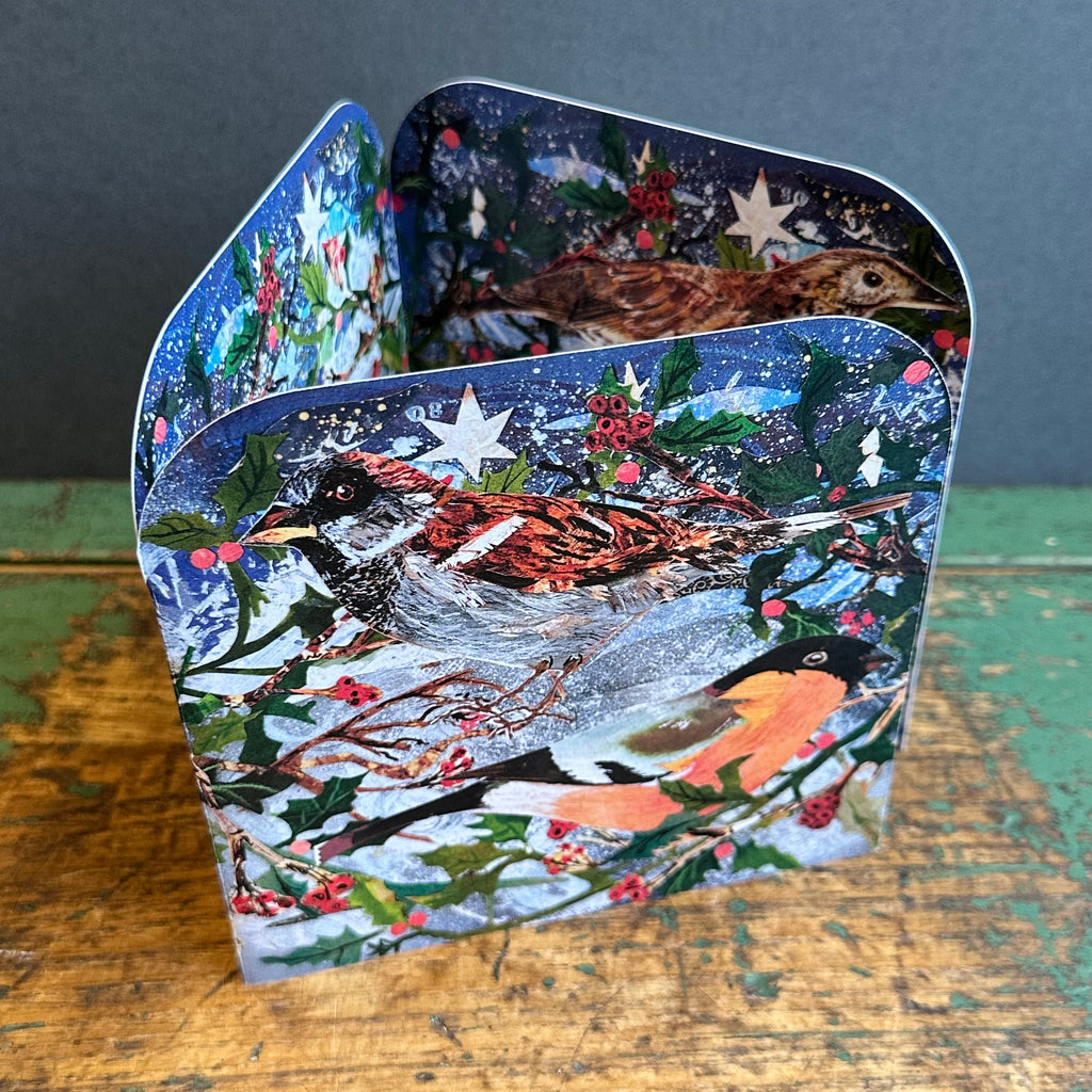 G/Card - Festive Birds - Large Fold Out Card