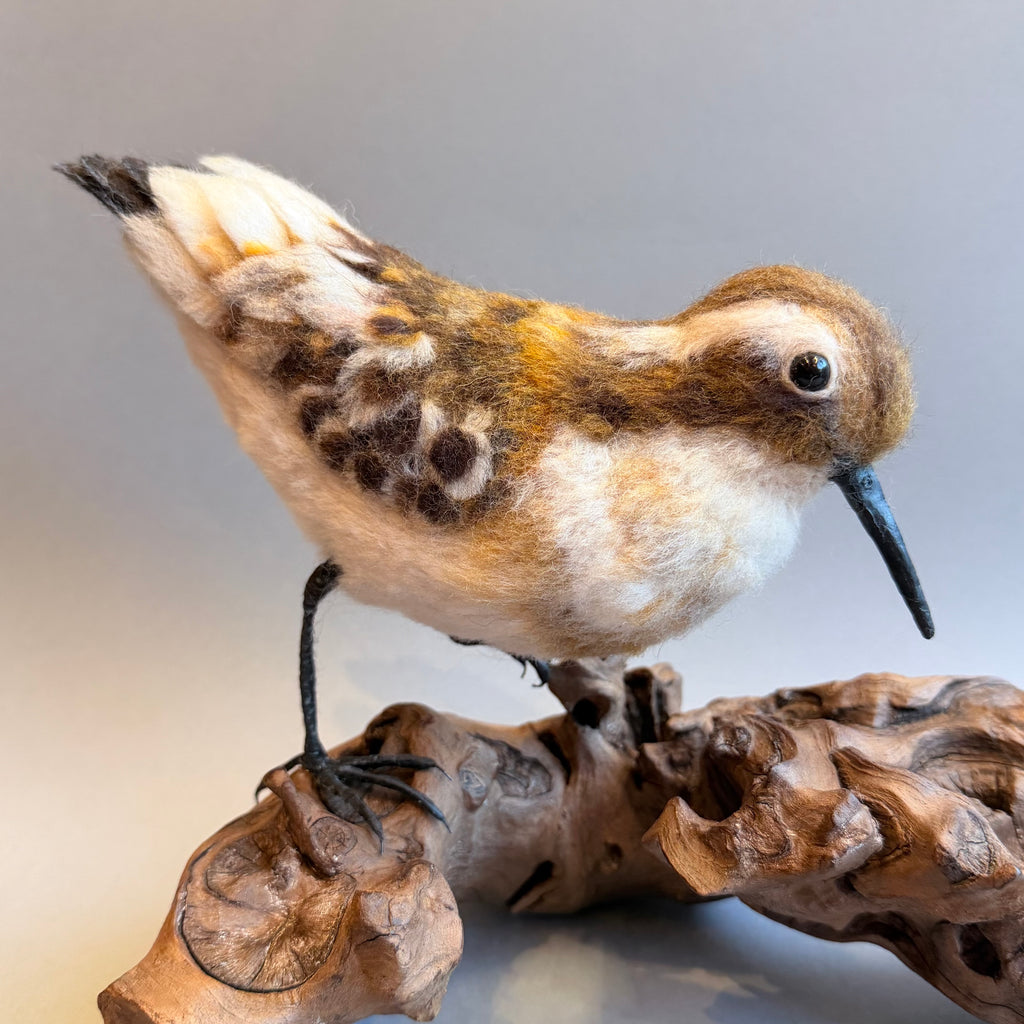 Needle Felted Little Stint on Bogwood