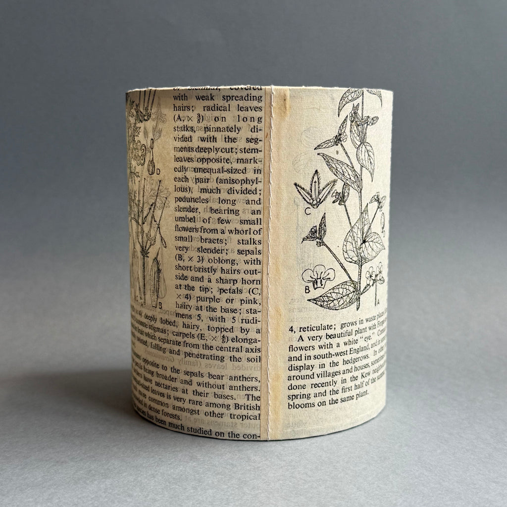 Stitched Paper Lantern - Wildflower Picot