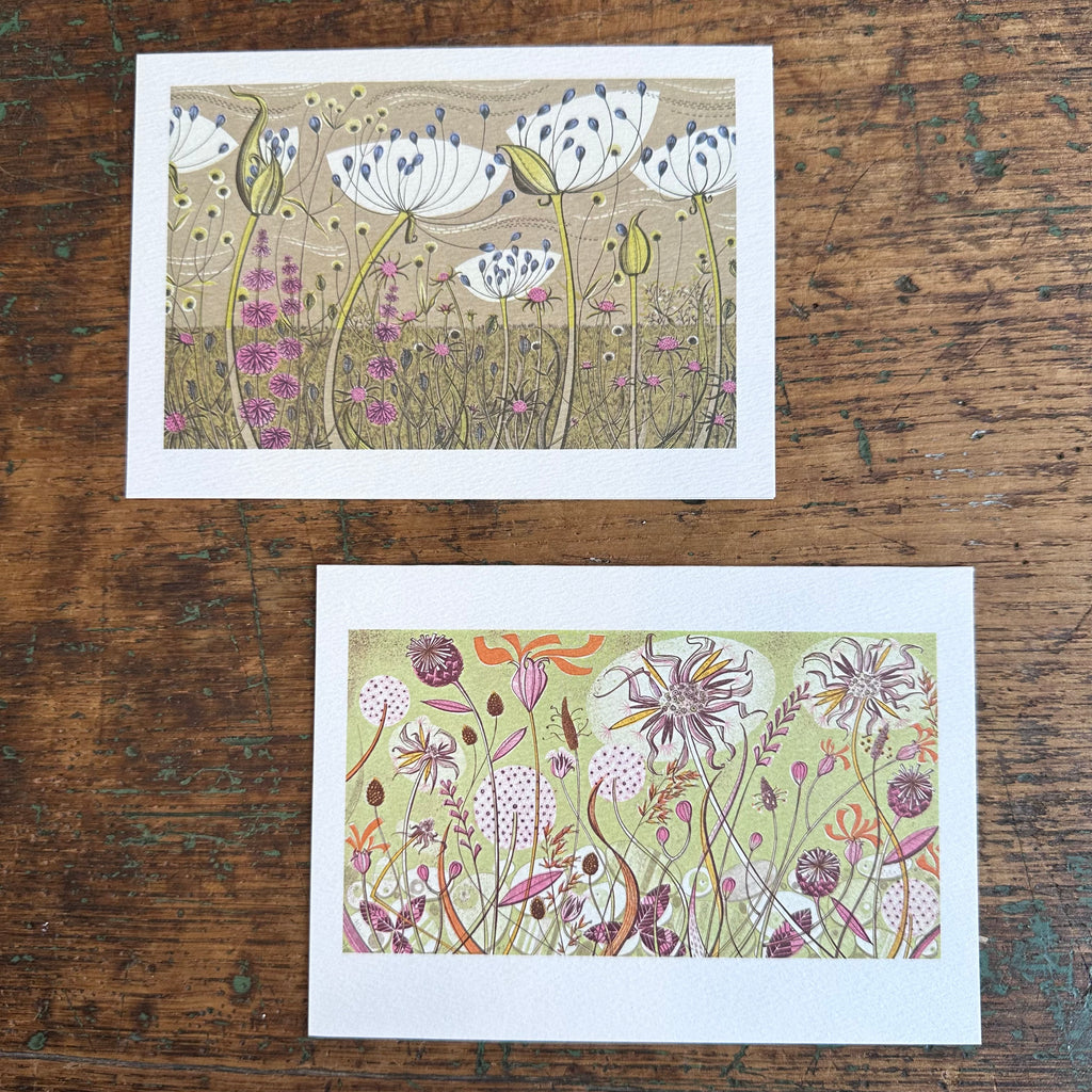 Notecards - Angie Lewin - Agapanthus & Autumn Spey