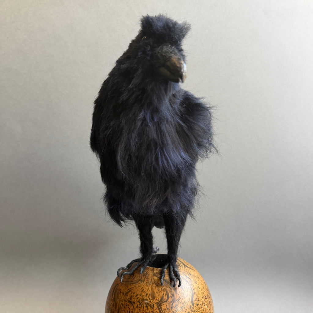 Needle Felted Raven on Burwood ‘Frith’