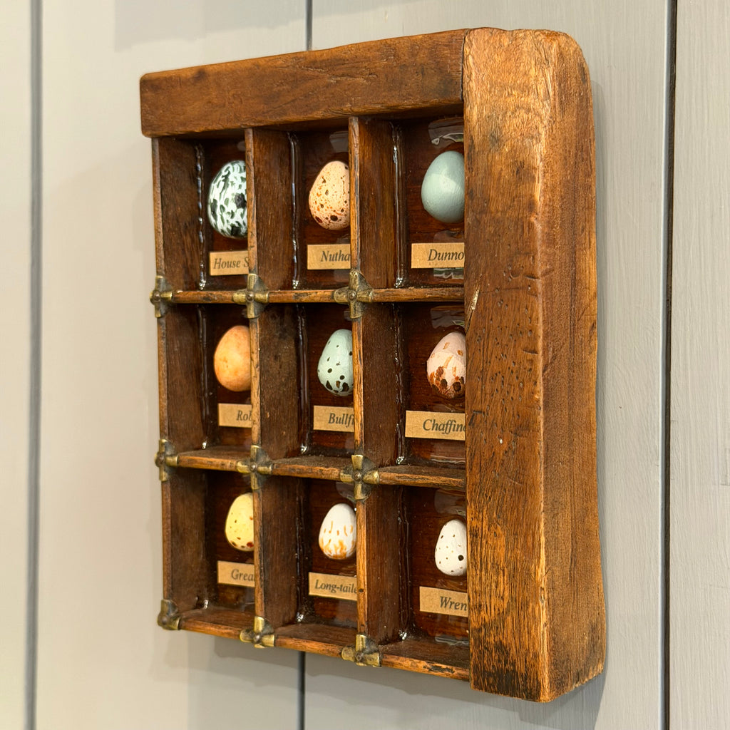 Mixed Media Garden Bird Eggs #583