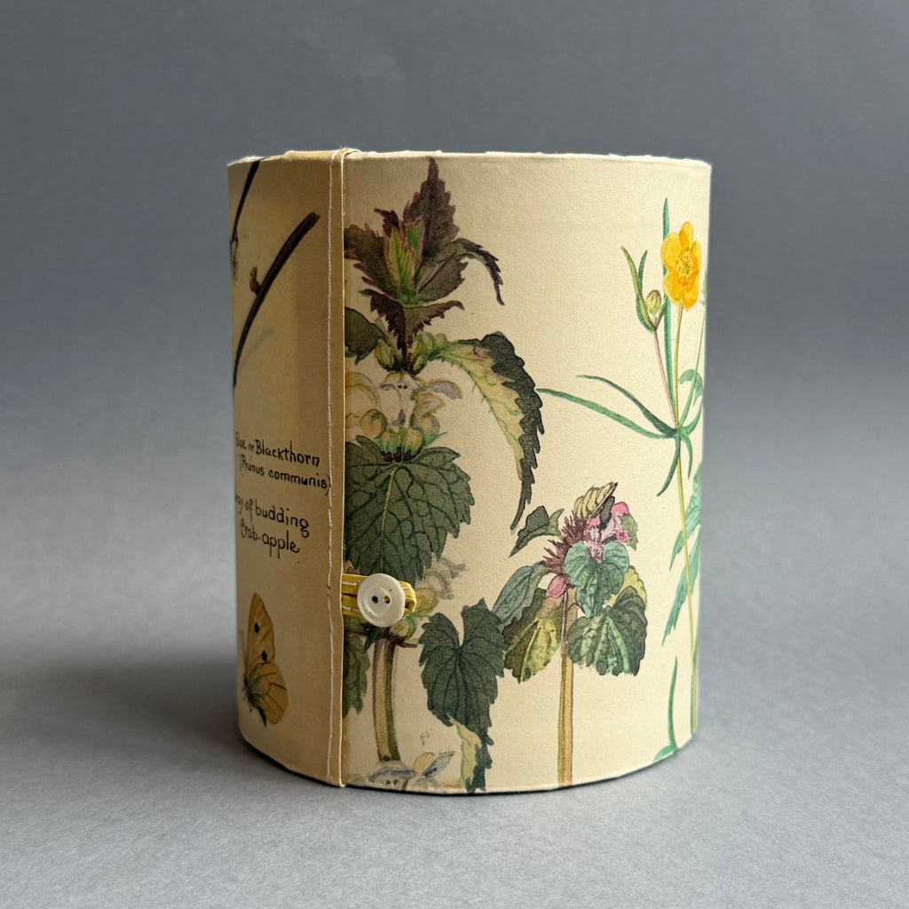 Stitched Paper Lantern - Butterfly