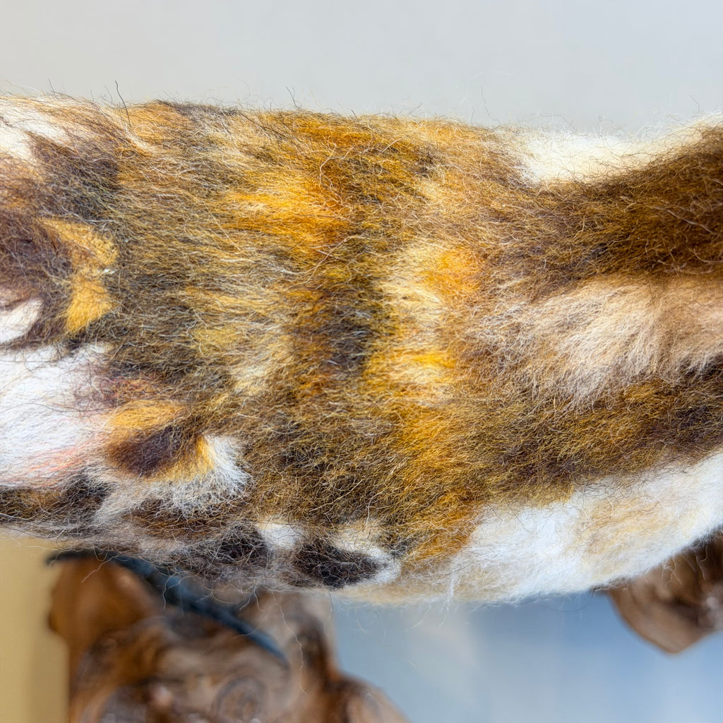 Needle Felted Little Stint on Bogwood