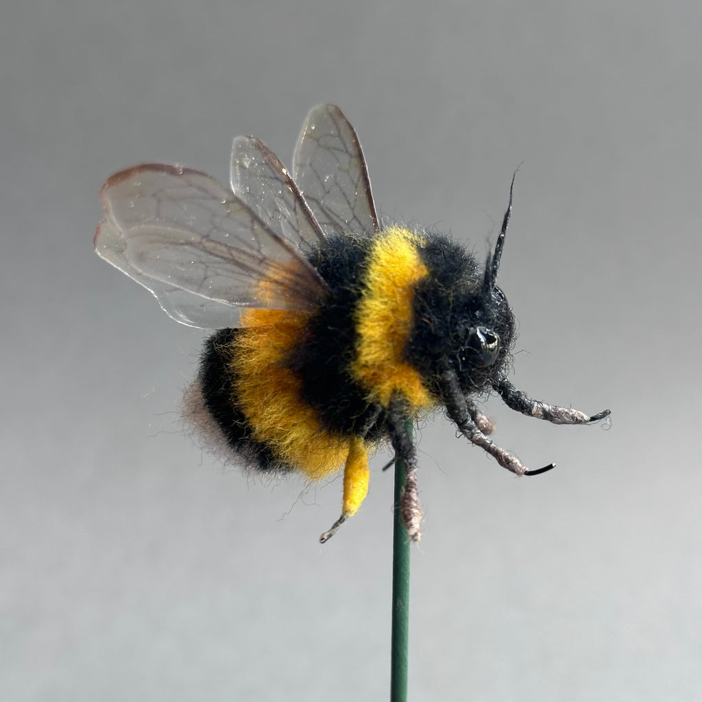Needle Felted ‘Large Bumble Bee Under a Dome’