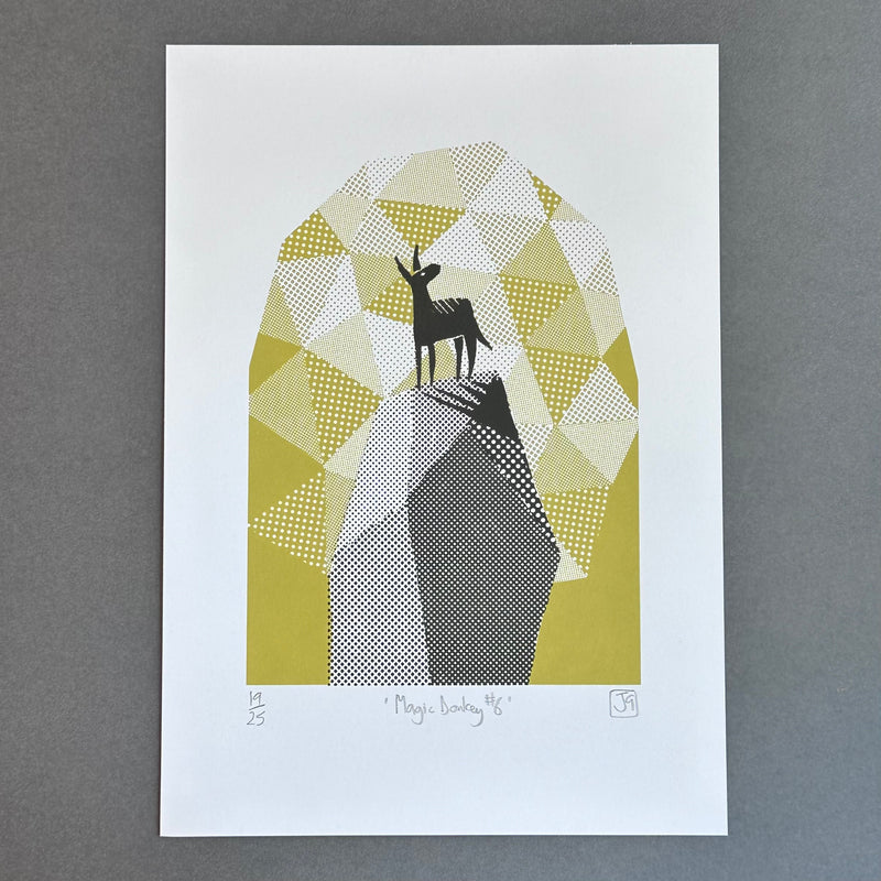 A4 - Magic Donkey No.6 - Screen Print - Unframed