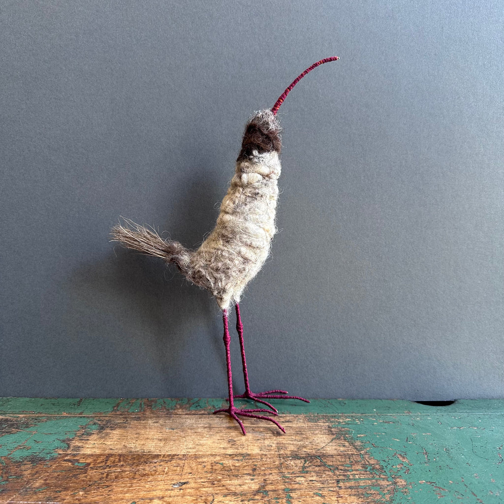Textile Sculpture ‘Griselda the Brush Tailed Bird’