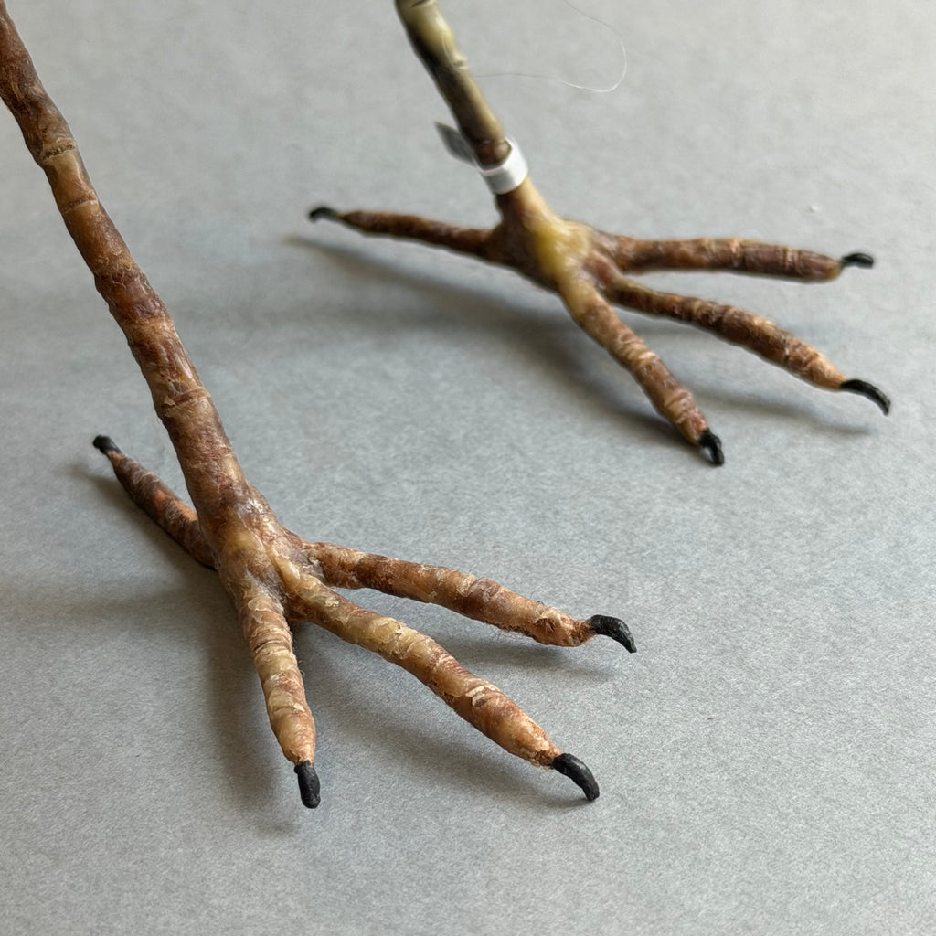 Needle Felted Curlew