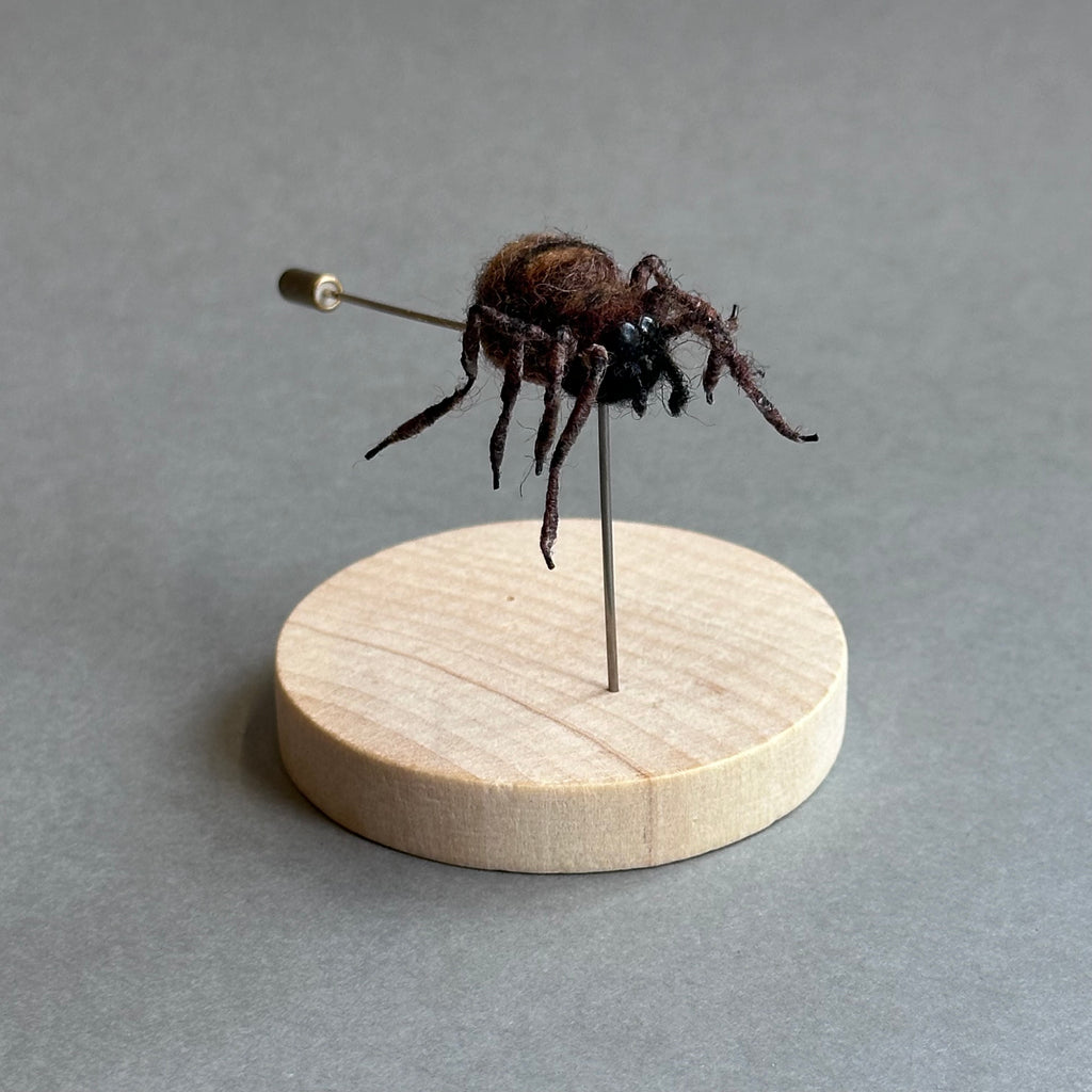 Needle Felted ‘House Spider Pin’