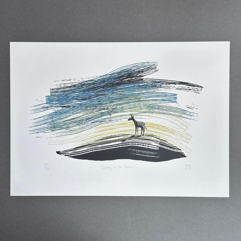 A3 - Donkey in a Storm - Screen Print - Unframed