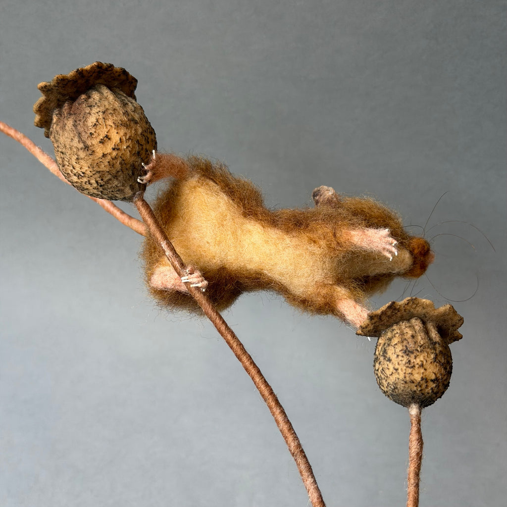 Needle Felted ‘Tove’ Mouse with Poppy Seedheads