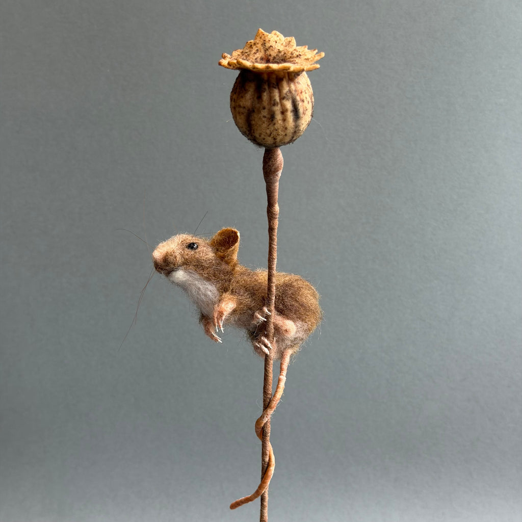 Needle Felted ‘Cordelia’ Mouse with Poppy Seedhead