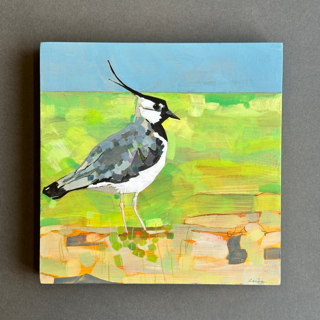Acrylic on Board - ‘Lapwing’