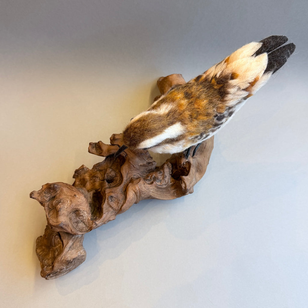 Needle Felted Little Stint on Bogwood