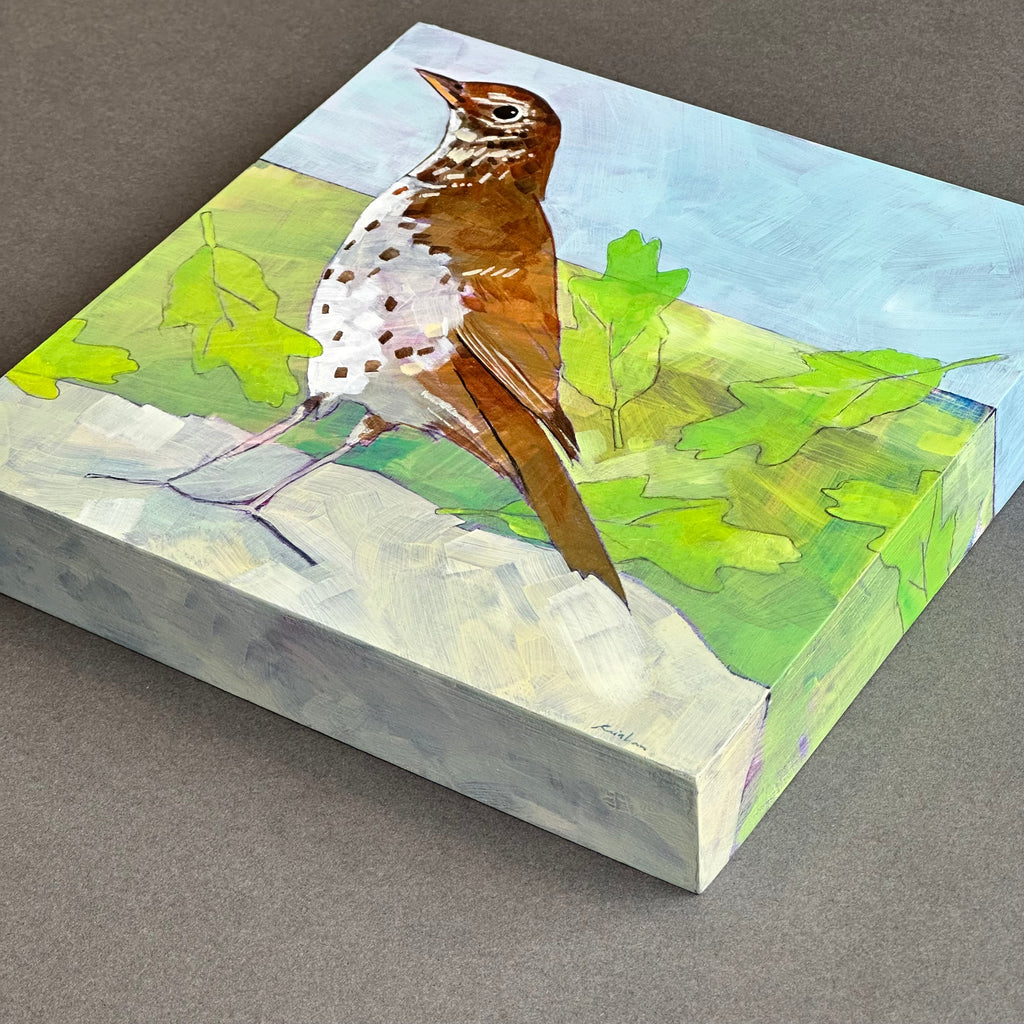 Acrylic on Board - ‘Thrush’