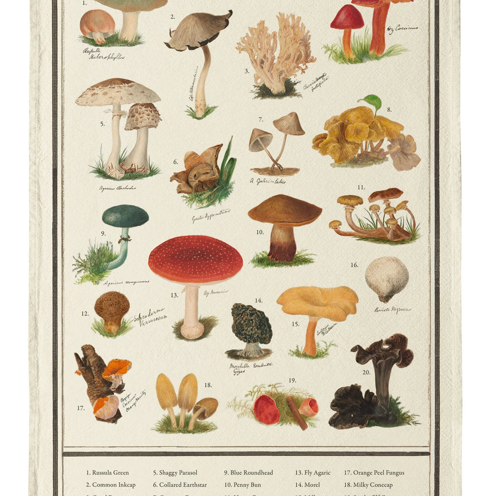 Tea Towel - Fungi