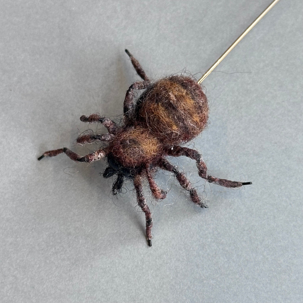 Needle Felted ‘House Spider Pin’