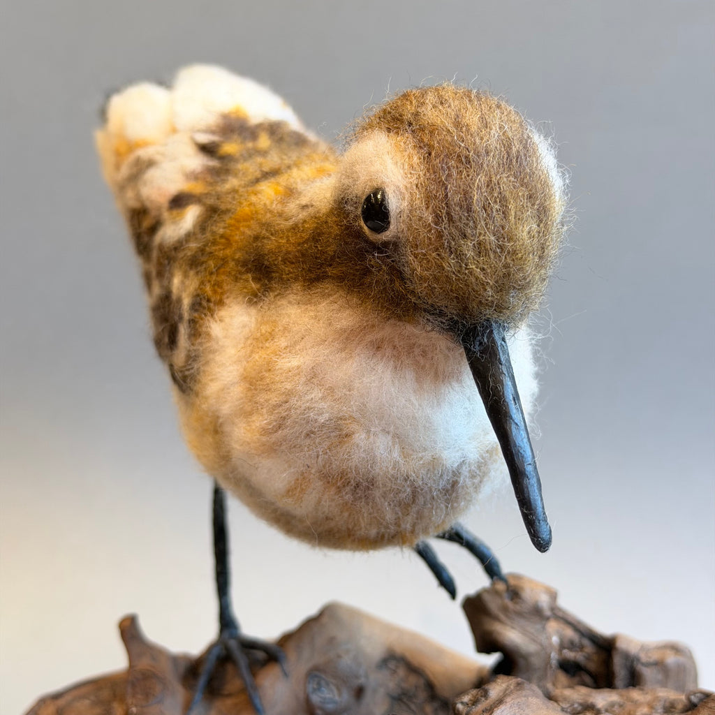 Needle Felted Little Stint on Bogwood