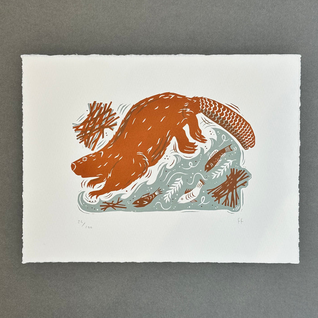 Ltd Edition Screenprint - Beaver