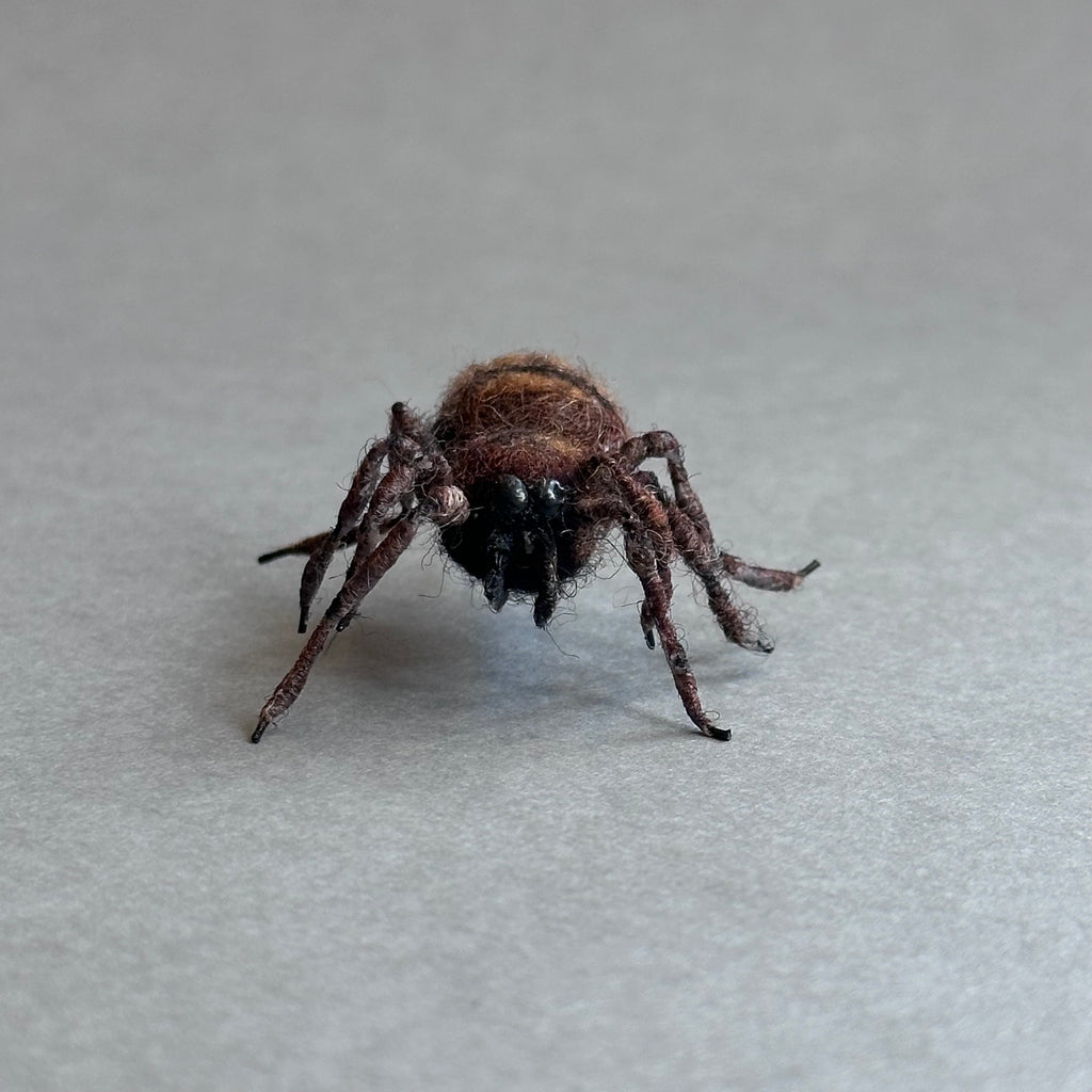 Needle Felted ‘House Spider Pin’