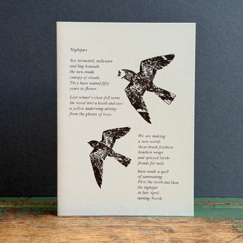 Letterpress Bird G/Card - Nightjar