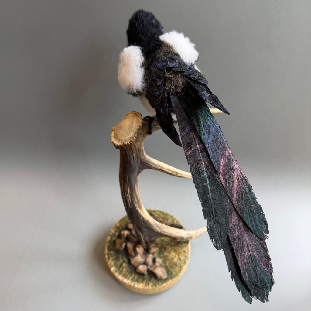 Needle Felted Magpie on Horn ‘Morgana’
