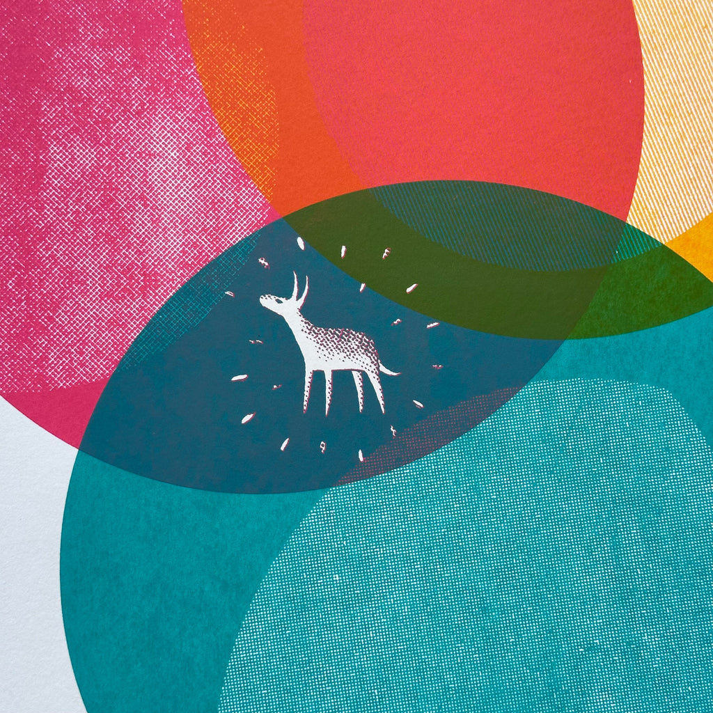 A2 - Magic Donkey No.7 - Screen Print - Unframed