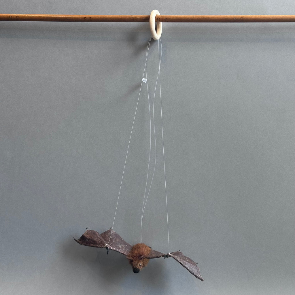 Needle Felted ‘Pippistrelle Bat’ #B