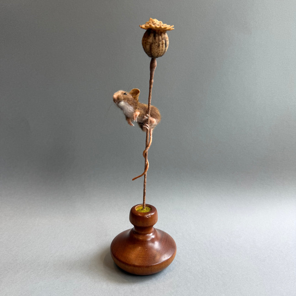 Needle Felted ‘Cordelia’ Mouse with Poppy Seedhead